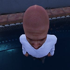 PP Head Payzman
